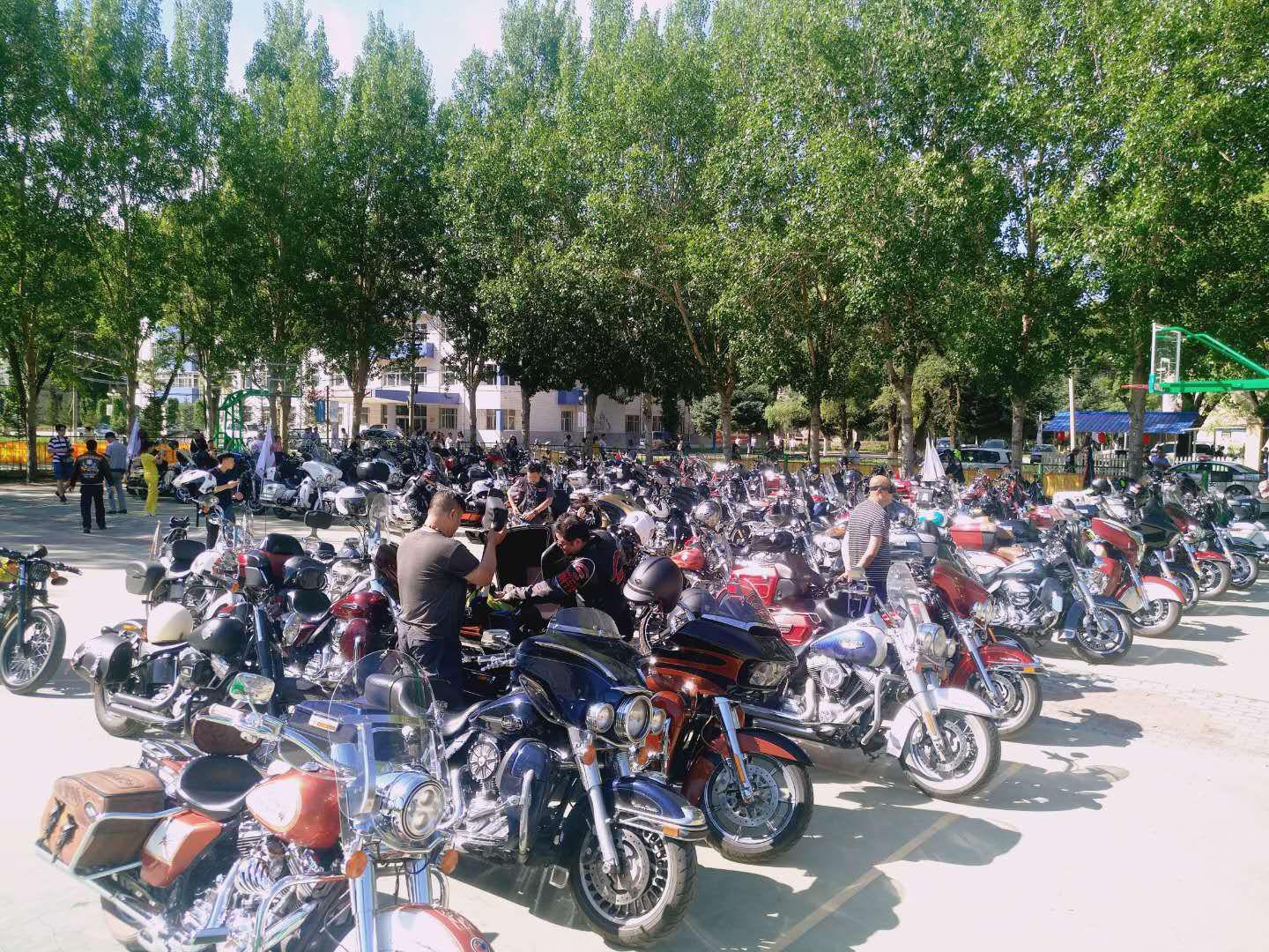 图片2.jpg