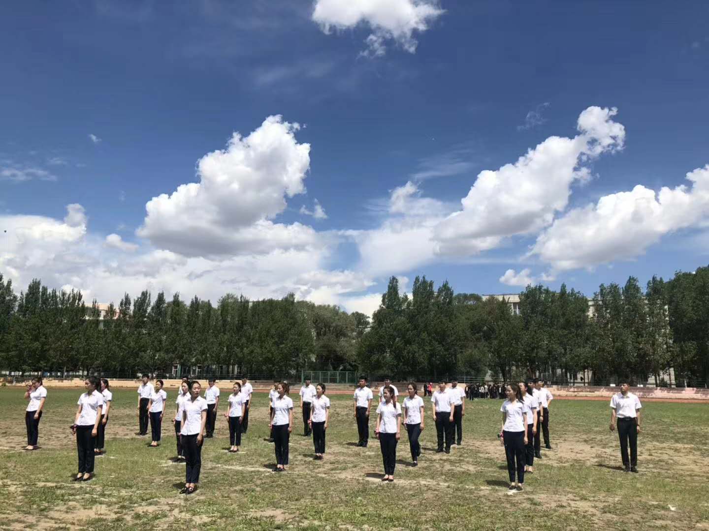 图片1.jpg 图片1.jpg