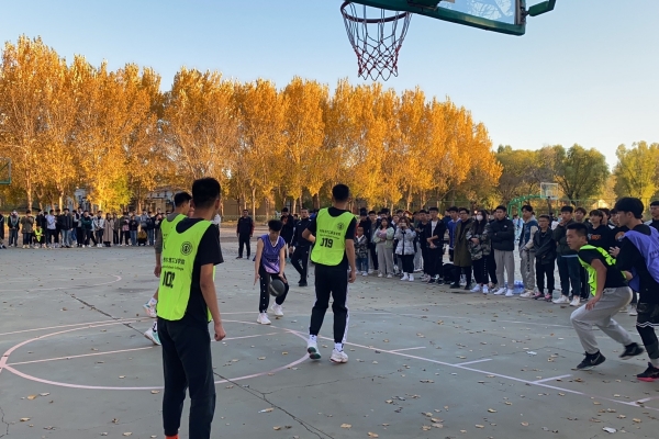 图片3.jpg 图片3.jpg