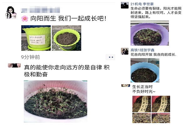 图片2.jpg 图片2.jpg