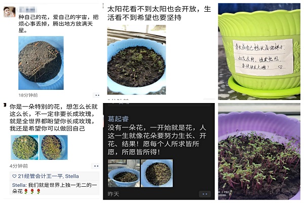 图片3.jpg 图片3.jpg