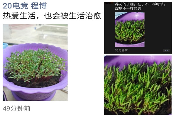 图片4.jpg 图片4.jpg