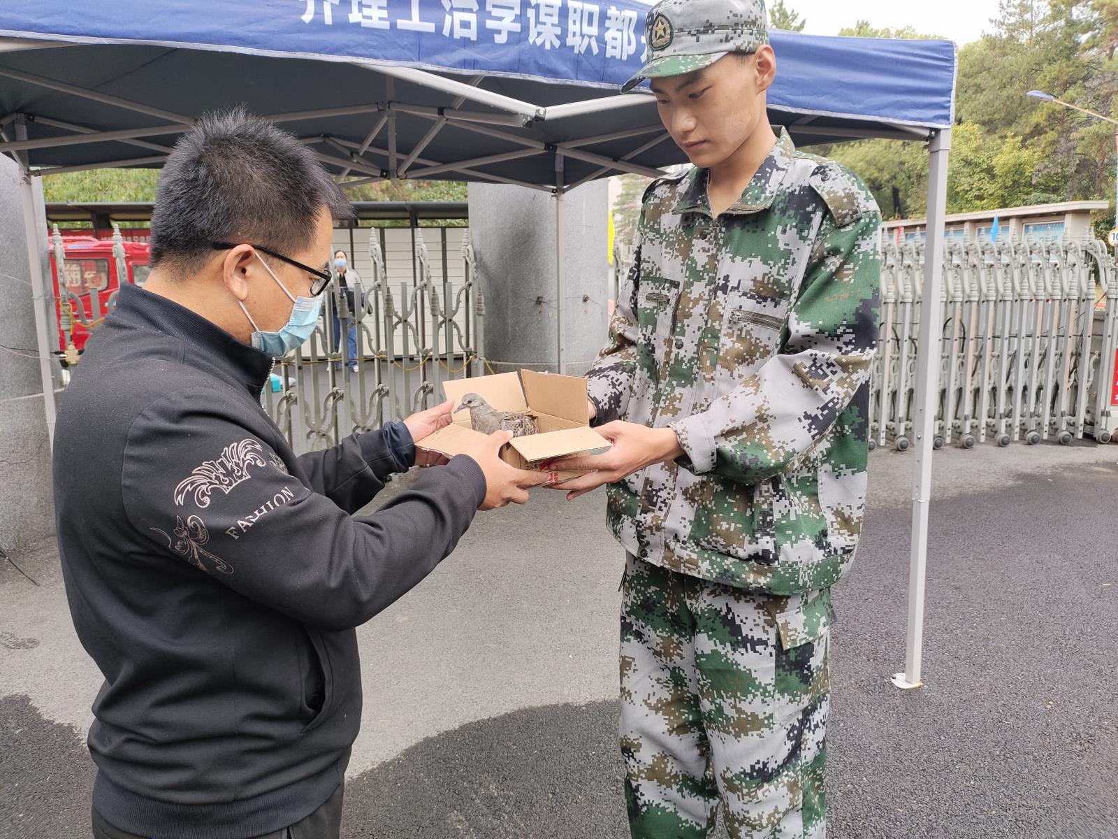 图片3.jpg 图片3.jpg